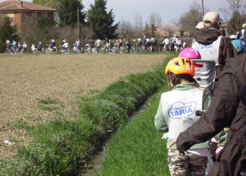 Sciame di biciclette