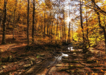 Autunno Fuori dal Comune