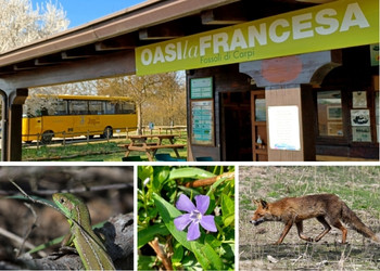 Oasi naturalistica La Francesa