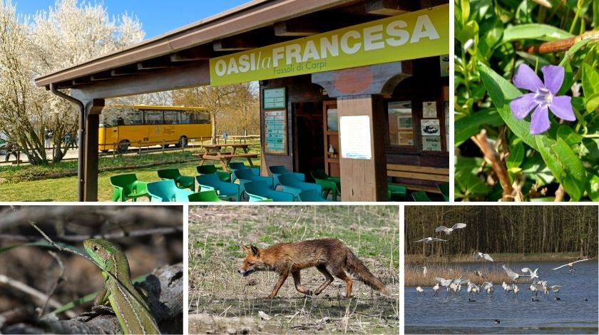 Apertura primaverile Oasi “La Francesa”