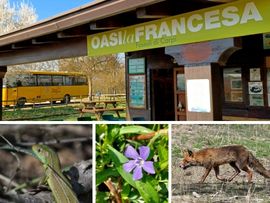 Oasi naturalistica La Francesa