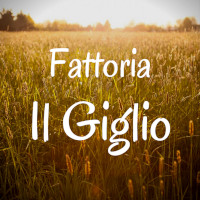 Fattoria Il Giglio